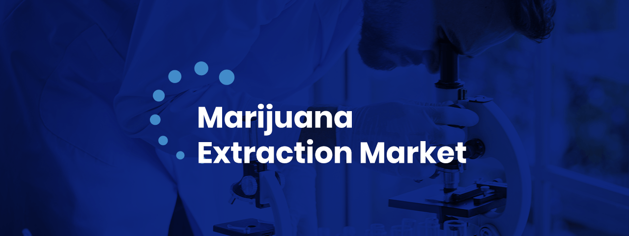 marijuana extraction market